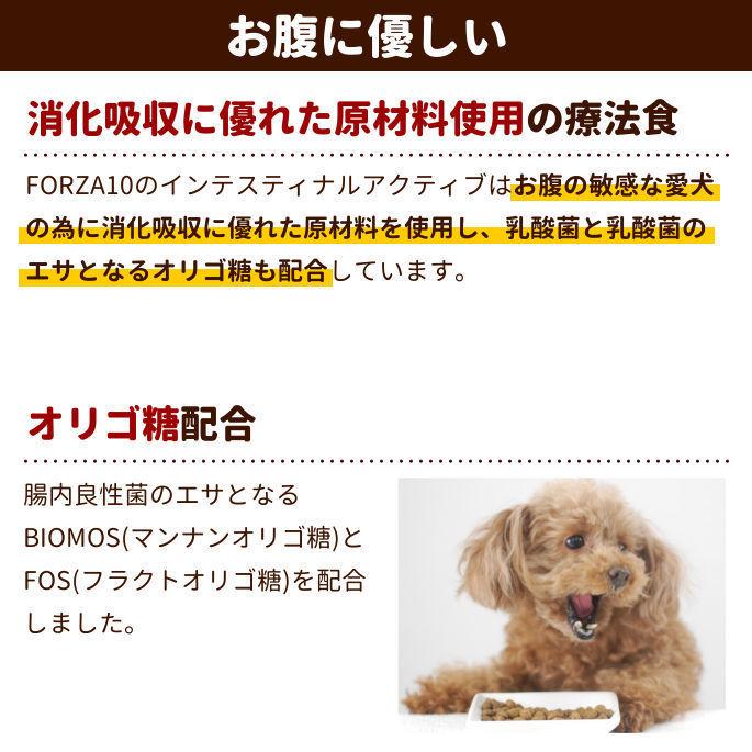 FORZA10 食事療法食 インテスティナルアクティブ 胃腸ケア 2kg フォルツァディエチ ドッグフード | FORZA10 | 01