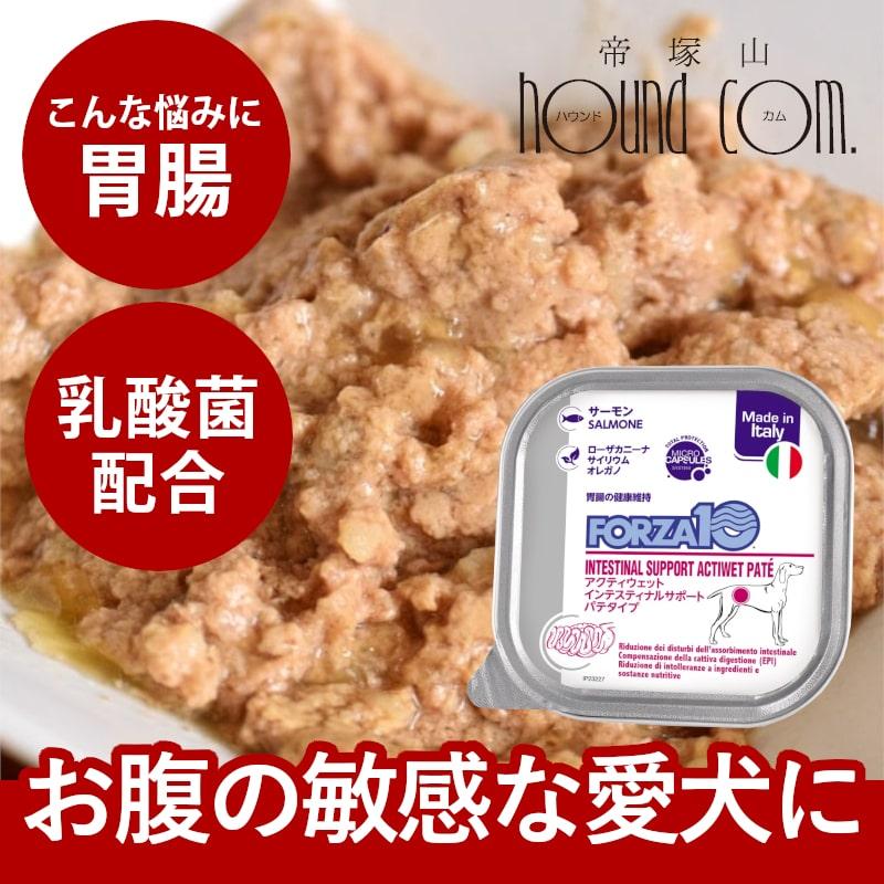 FORZA10療法食｜犬用アクティウェット インテスティナル サーモン（胃腸）100g パテタイプ (フォルツァディエチ) 総合栄養食 | FORZA10