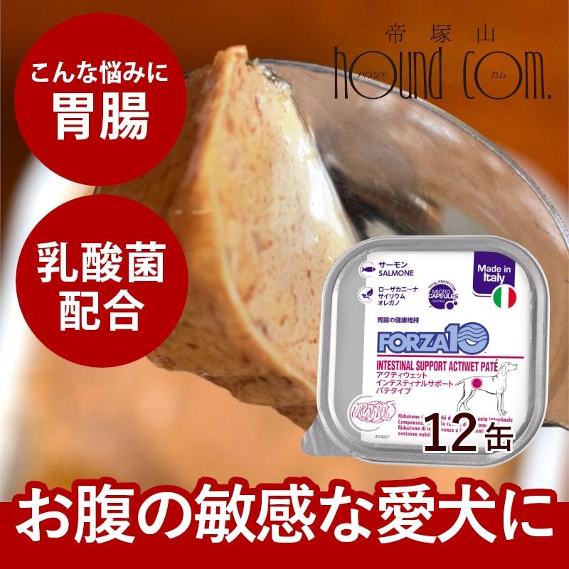 FORZA10療法食｜犬用アクティウェット インテスティナル サーモン（胃腸）100g×12缶セット パテタイプ (フォルツァディエチ) 総合栄養食 | FORZA10