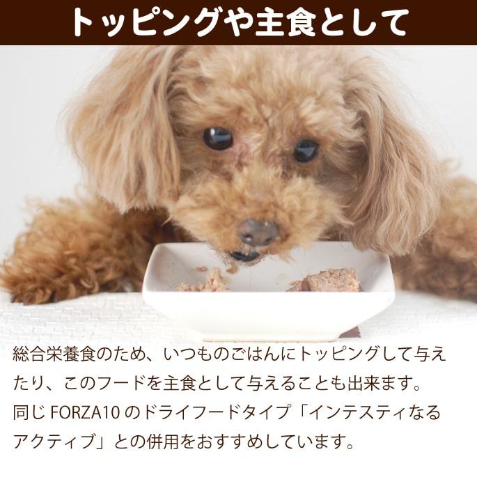 FORZA10療法食｜犬用アクティウェット インテスティナル サーモン（胃腸）100g×12缶セット パテタイプ (フォルツァディエチ) 総合栄養食 | FORZA10 | 02