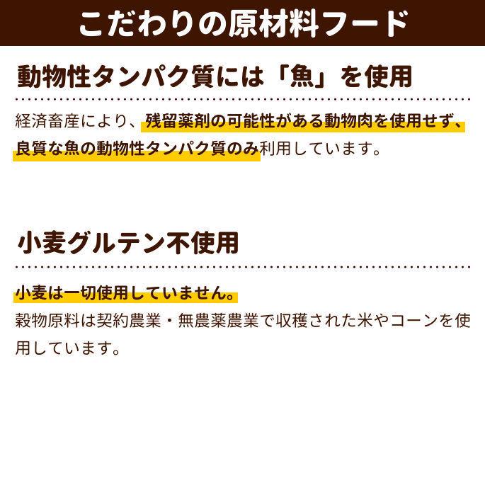 Forza10 レギュラーダイエット ローグレイン フィッシュ 1 5kg フォルツァディエチ キャットフード Forza0041 犬デンタルケア帝塚山ハウンドカム 通販 Yahoo ショッピング