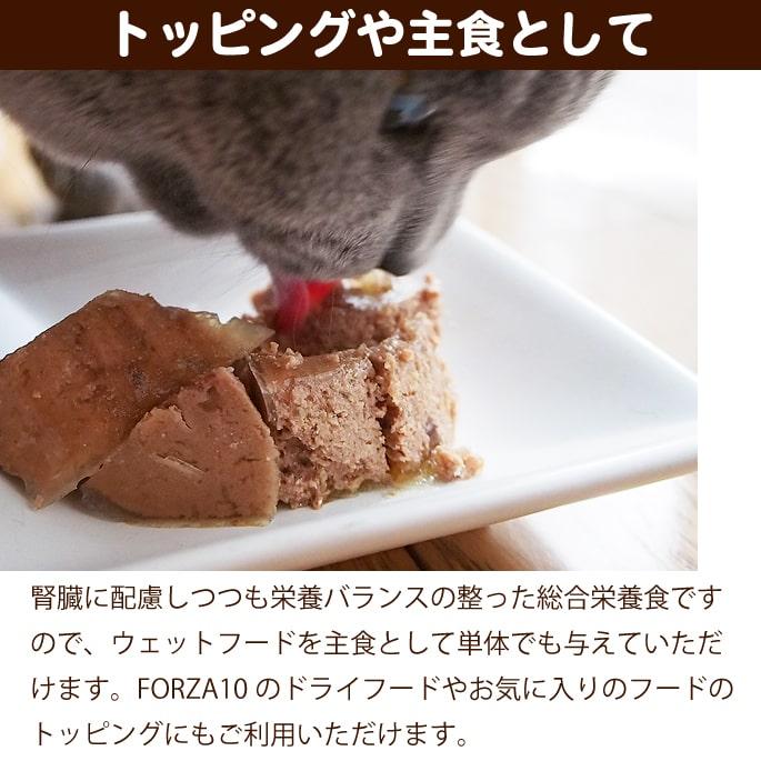 FORZA10 猫用 缶詰 ウェットフード 療法食 腎不全 腎臓ケア 腎臓