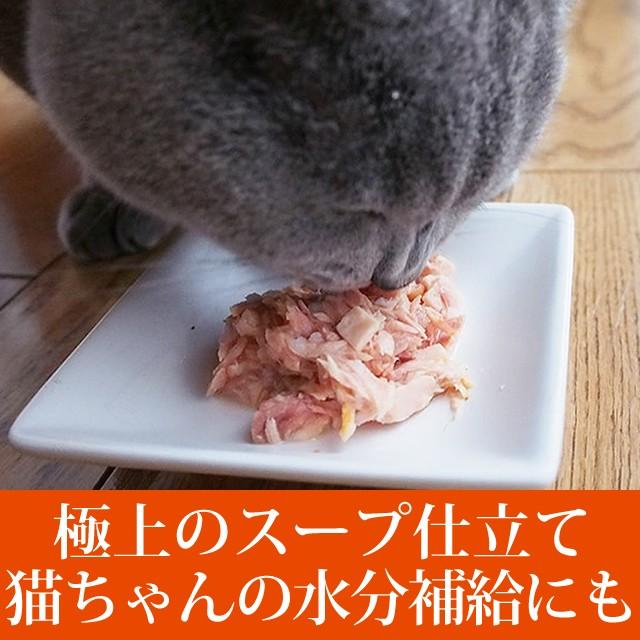 FORZA10｜プレミアム ナチュラルグルメ缶　チキンとえんどう豆と人参添え　75g×12缶セット 猫缶 | FORZA10 | 01