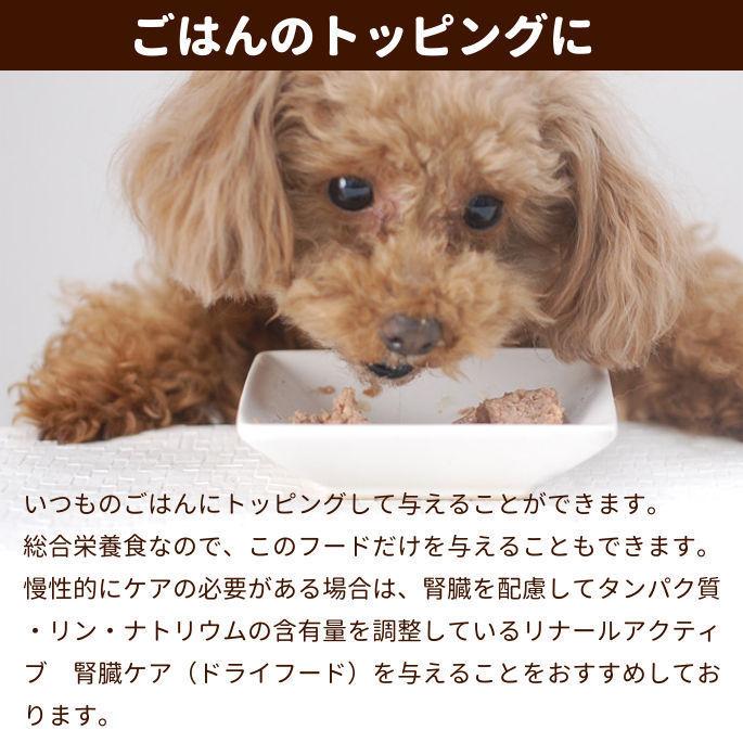 FORZA10 犬用腎臓食事療法食 リナールアクティウェット 100g ラム　フラットフィッシュ　ドッグフード　缶詰【a0345】