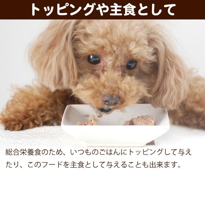 FORZA10療法食｜犬用 アクティウェット ウリナリー サーモン＆地中海の白身魚（泌尿器）100g 12缶セット　パテタイプ　※シュウ酸カルシウム結石は非対応 | FORZA10 | 02