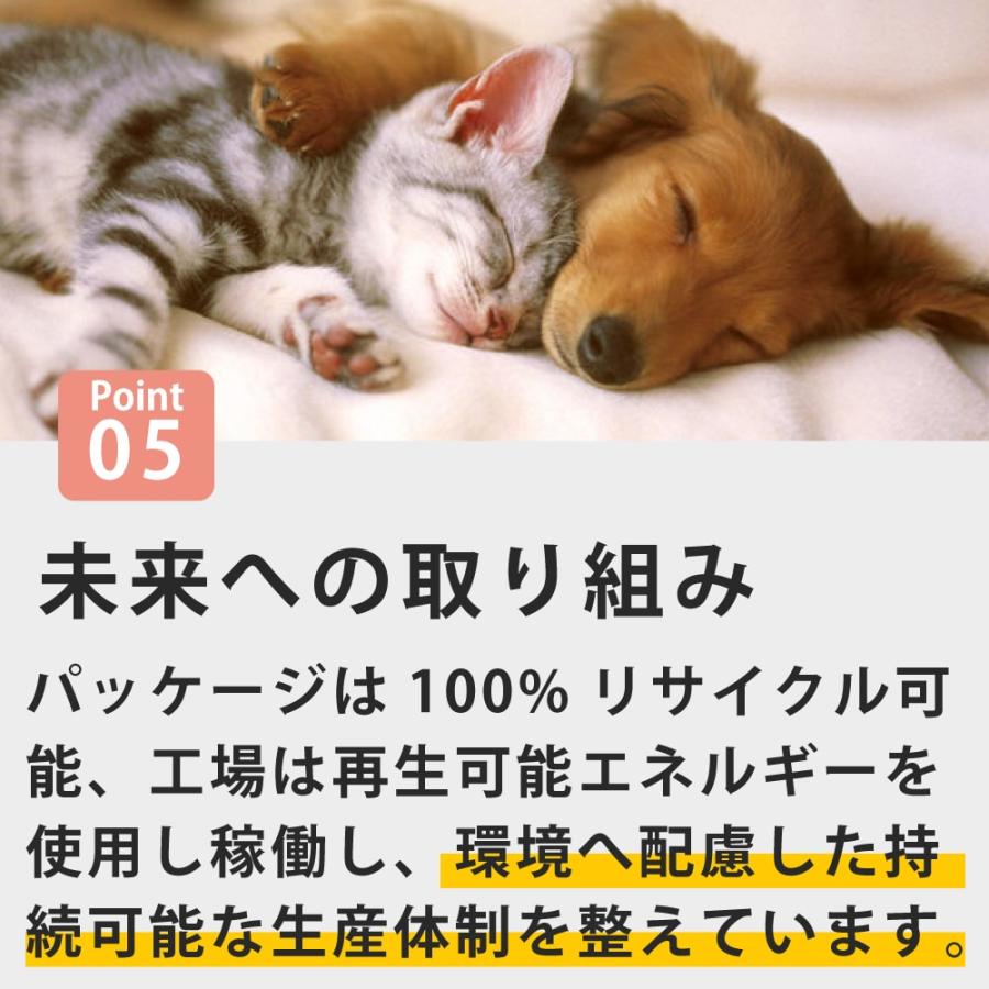 犬 FORZA10 療法食｜犬用 デルモアクティブ(皮膚ケア)  4kg（ミディアム 中粒） | FORZA10 | 10