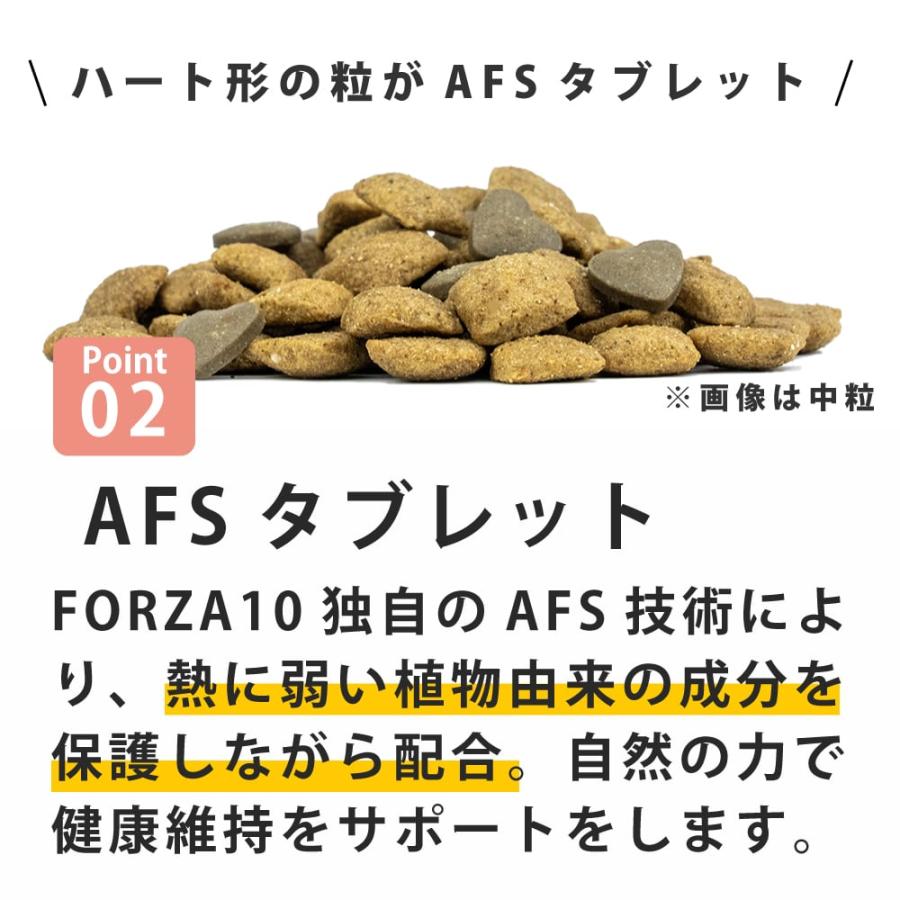 【お取り寄せ】犬 FORZA10 療法食｜犬用 デルモアクティブ(皮膚ケア)  10kg（ミディアム 中粒） | FORZA10 | 02