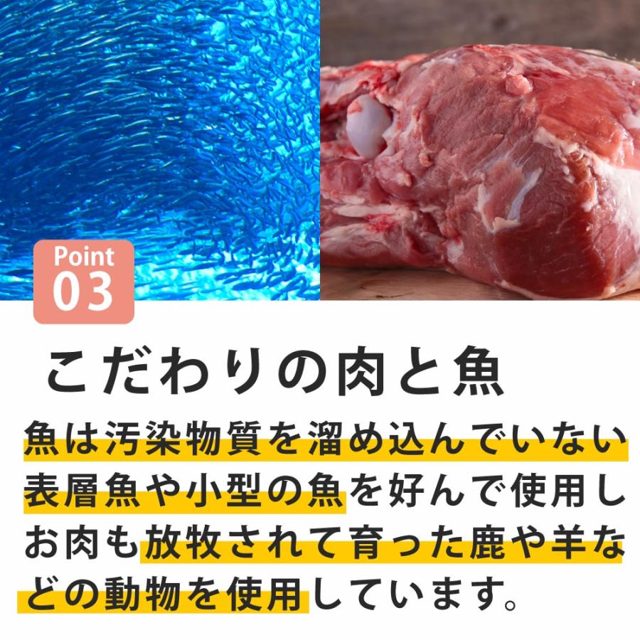 【お取り寄せ】犬 FORZA10 療法食｜犬用 デルモアクティブ(皮膚ケア)  10kg（ミディアム 中粒） | FORZA10 | 08