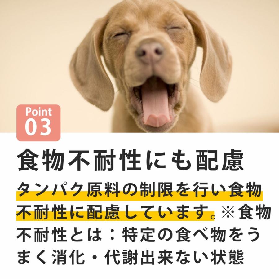 犬 FORZA10 療法食｜犬用 リナールアクティブ(腎臓ケア) 1.5kg（ミニ 小粒） | FORZA10 | 03