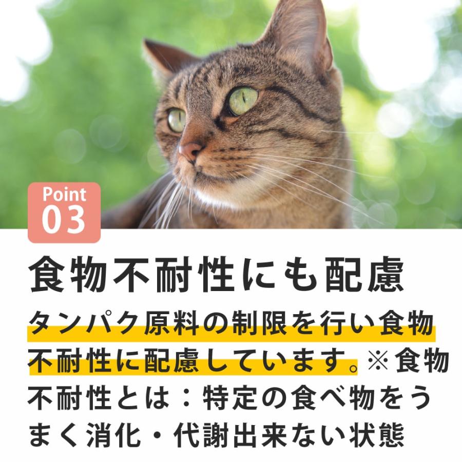 【お取り寄せ】猫 FORZA10療法食｜ウリナリーアクティブ(ストルバイト結石ケア) 1.5kg フォルツァディエチ キャットフード | FORZA10 | 03