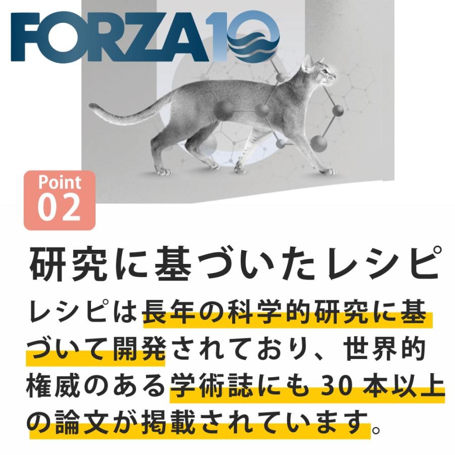 【お取り寄せ】猫 FORZA10療法食｜ウリナリーアクティブ(ストルバイト結石ケア) 1.5kg フォルツァディエチ キャットフード | FORZA10 | 06