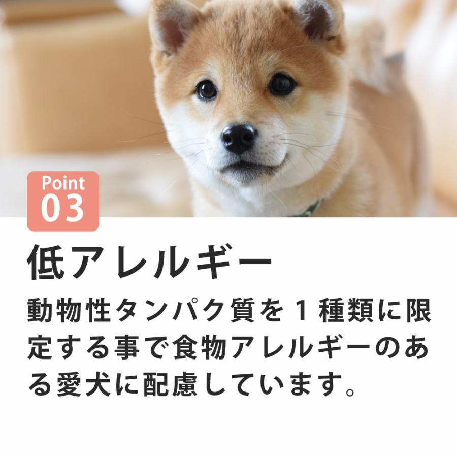 爆買 犬 FORZA10 犬用 デイリープロ　パピーフィッシュ  3.6kg（ミニ 小粒） | FORZA10 | 03