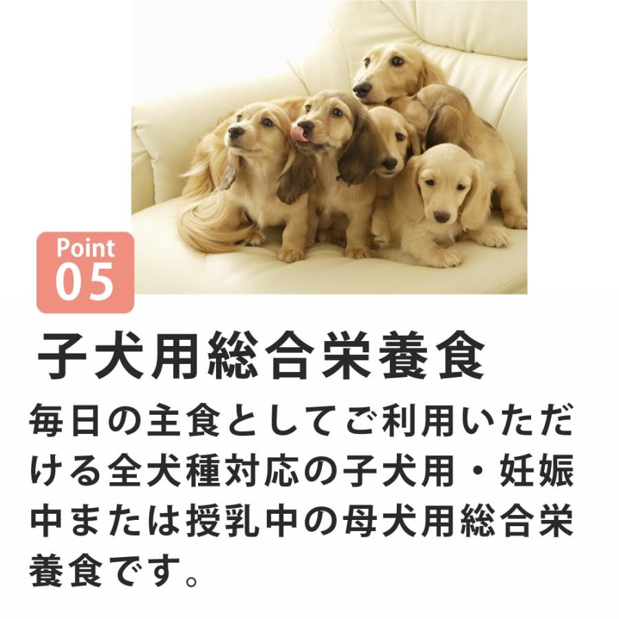 爆買 犬 FORZA10 犬用 デイリープロ　パピーフィッシュ  3.6kg（ミニ 小粒） | FORZA10 | 05