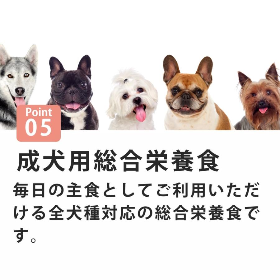 犬 FORZA10 犬用 デイリープロ　アダルトホース  600g（ミニ 小粒） | FORZA10 | 05