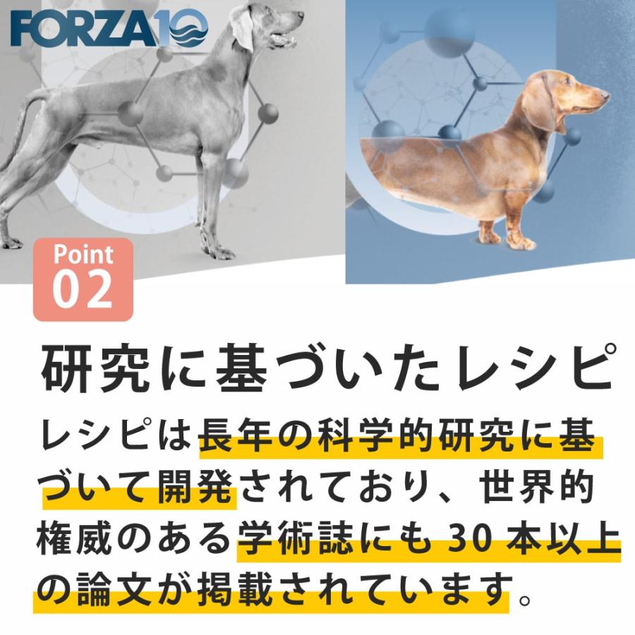 犬 FORZA10 犬用 デイリープロ　アダルトホース  600g（ミニ 小粒） | FORZA10 | 08