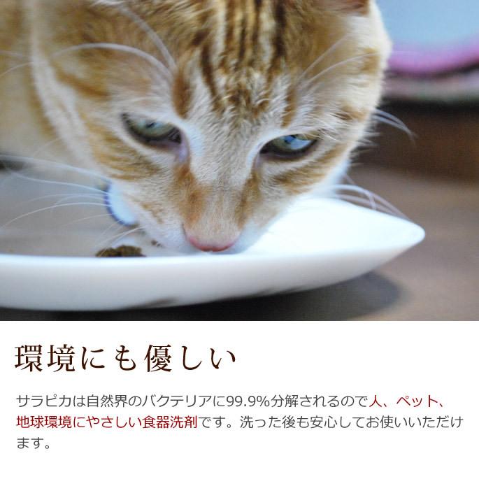 犬・猫用 食器洗い洗剤 サラピカ　ポンプタイプ 200ml｜houndcom｜09