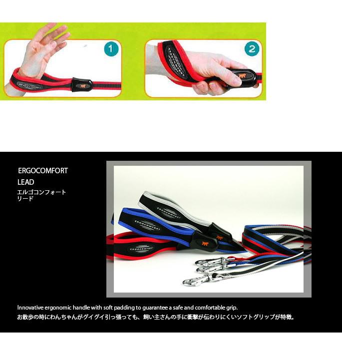 機能性リード お取り寄せ商品 エルゴコンフォート Ｇ２０ １２０ リード |  | 02