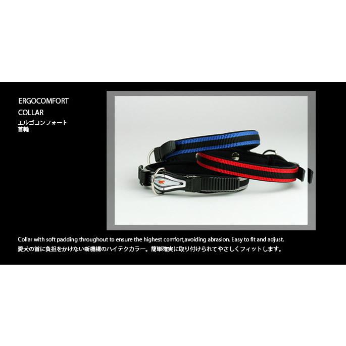 機能性首輪 お取り寄せ商品 犬 首輪 エルゴコンフォート C25/51 クビワ |  | 03