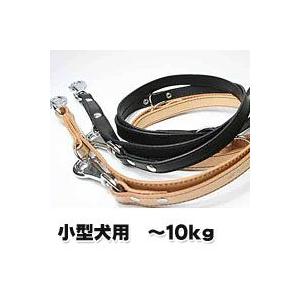 イタリア製リード ナチュラル ＧＡ １２ ２００ リード | 