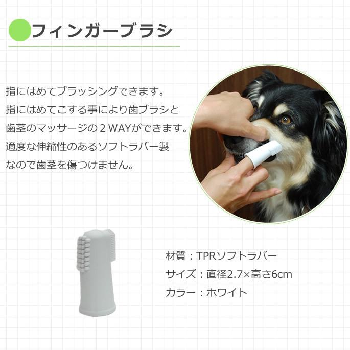 大型犬用 歯ブラシ コンボ デンタブラシDX 歯磨き嫌いな大型犬に