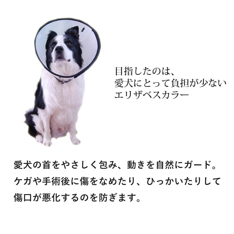 エリザベスカラー ペットカラー Lサイズ : 安心おやつ歯みがき帝塚山
