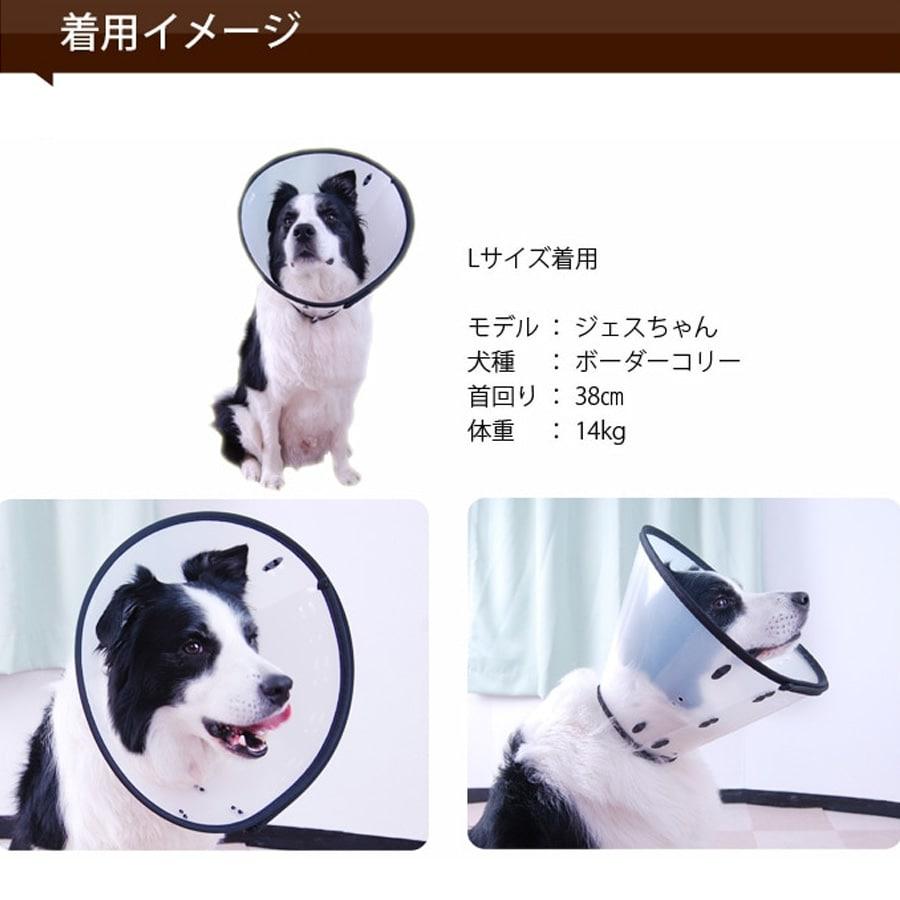 オレンジ　L エリザベスサークル チョーカー インフレータブル ペット用品 オレンジ L エリザベスサークル チョーカー インフレータブル ペット