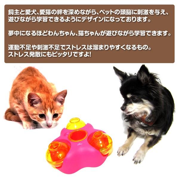 知育トイ 犬猫用おもちゃ ペットメイズ Rock-N-Ball ロックンボール