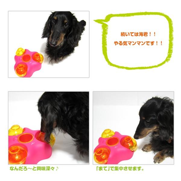 知育トイ 犬猫用おもちゃ ペットメイズ Rock-N-Ball ロックンボール