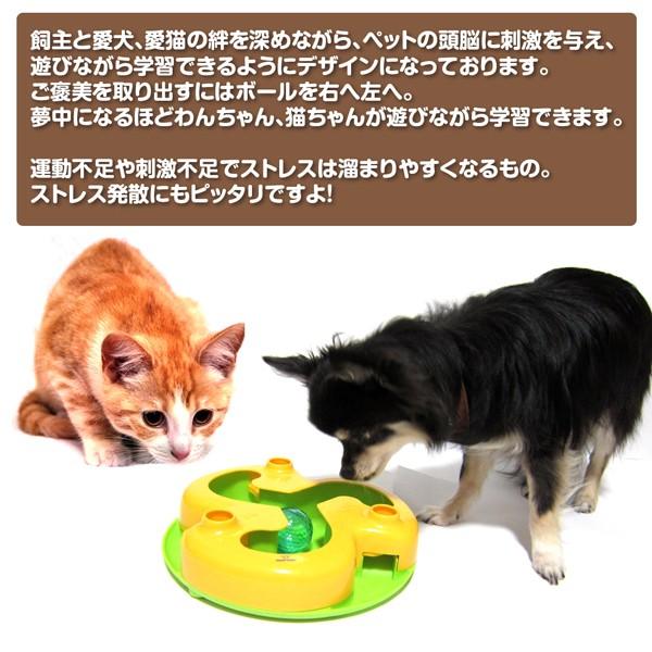 知育トイ　犬猫用おもちゃ　ペットメイズ Shake-N-Roll シェイクンロール |  | 01