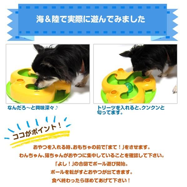 知育トイ　犬猫用おもちゃ　ペットメイズ Shake-N-Roll シェイクンロール |  | 03