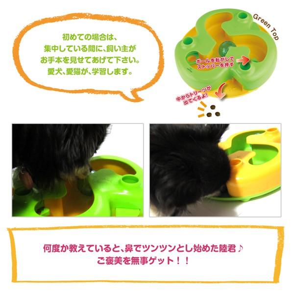 知育トイ　犬猫用おもちゃ　ペットメイズ Shake-N-Roll シェイクンロール |  | 04