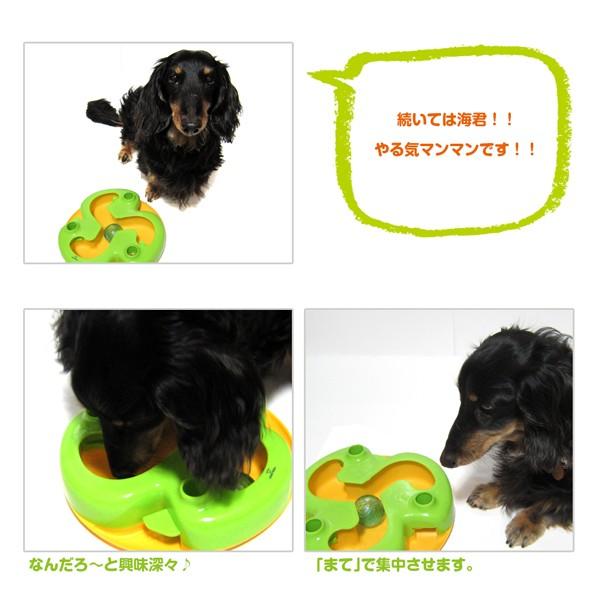 知育トイ　犬猫用おもちゃ　ペットメイズ Shake-N-Roll シェイクンロール |  | 05