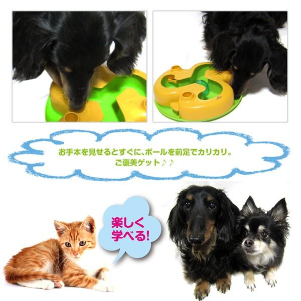 知育トイ　犬猫用おもちゃ　ペットメイズ Shake-N-Roll シェイクンロール |  | 06