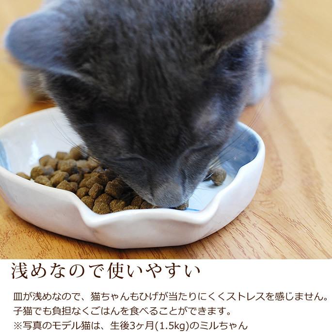 瀬戸焼 猫用食器 猫の耳 ねこの食事に フードボール 食器 ねこ用 子猫 |  | 05