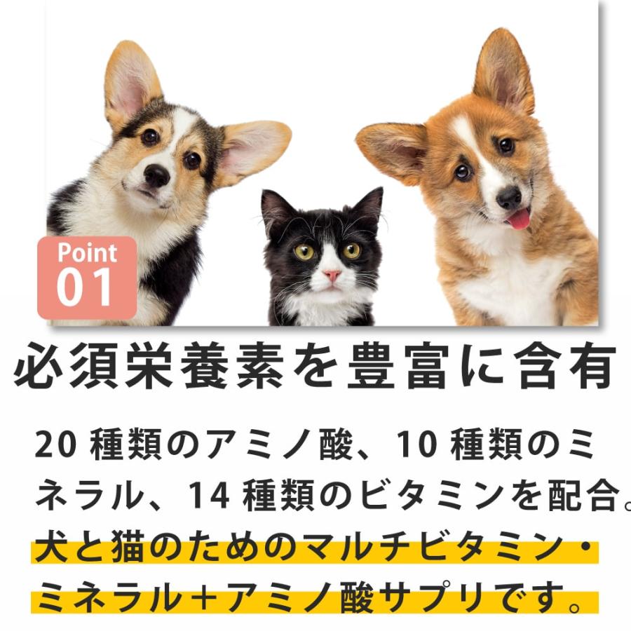 犬猫用サプリメント　カラヘルス　バイタルミックス　45粒　【マルチビタミン・ミネラル＋アミノ酸強化型の「総合栄養補助」サプリメント】 | 帝塚山ハウンドカム | 01