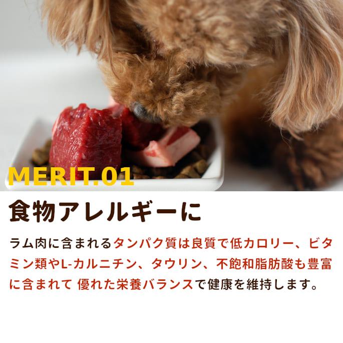 犬 猫 ペット ドッグフード 生肉 新鮮 ラム肉 500g ブロック 手作り食 | 帝塚山ハウンドカム | 01