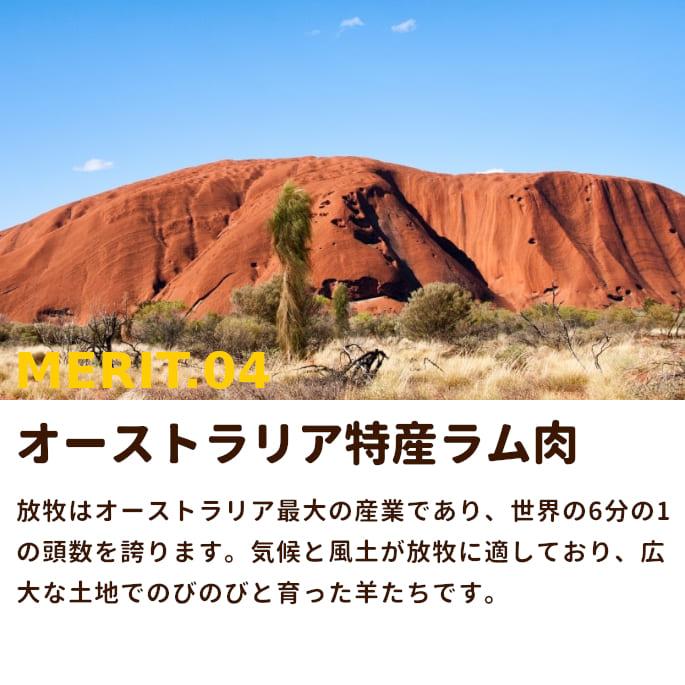 犬 猫 ペット ドッグフード 生肉 新鮮 ラム肉 500g ブロック 手作り食 | 帝塚山ハウンドカム | 04