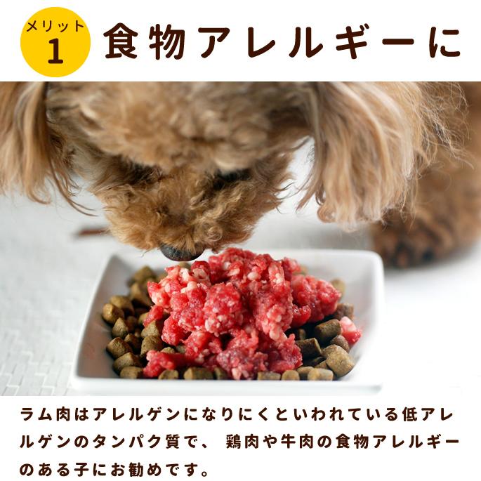 犬 生肉 新鮮 ラム肉 1kg 粗挽きミンチ 小分けパック Ge013a 犬手作りごはん帝塚山ハウンドカム 通販 Yahoo ショッピング