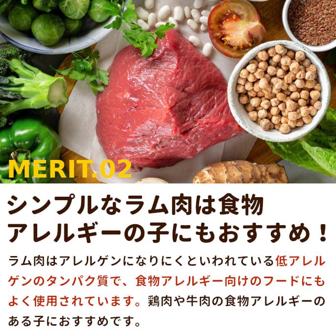犬 猫 ペット ドッグフード 生肉 新鮮 ラム肉 1kg ブロック 手作り食 | 帝塚山ハウンドカム | 02