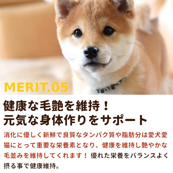 犬 生肉 新鮮 ラム肉 3kg 粗挽きミンチ 小分けパック | 帝塚山ハウンドカム | 05