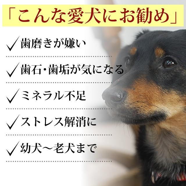 犬 ペット 用 生骨 マスター3点セット 簡単 手作り食 犬 手作りフード 生食 | 帝塚山ハウンドカム | 05