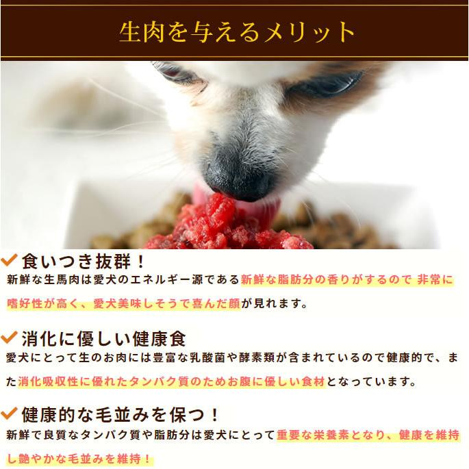 犬 猫 ペット 用 ドッグフード 生肉 ローテーション 5点セット 簡単手作り食 犬 手作りフード 生食 | 帝塚山ハウンドカム | 01