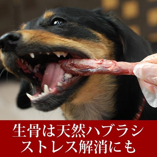 犬用 人気生骨3種セット [簡単手作り食] 犬 手作りフード 生食 | 帝塚山ハウンドカム | 01