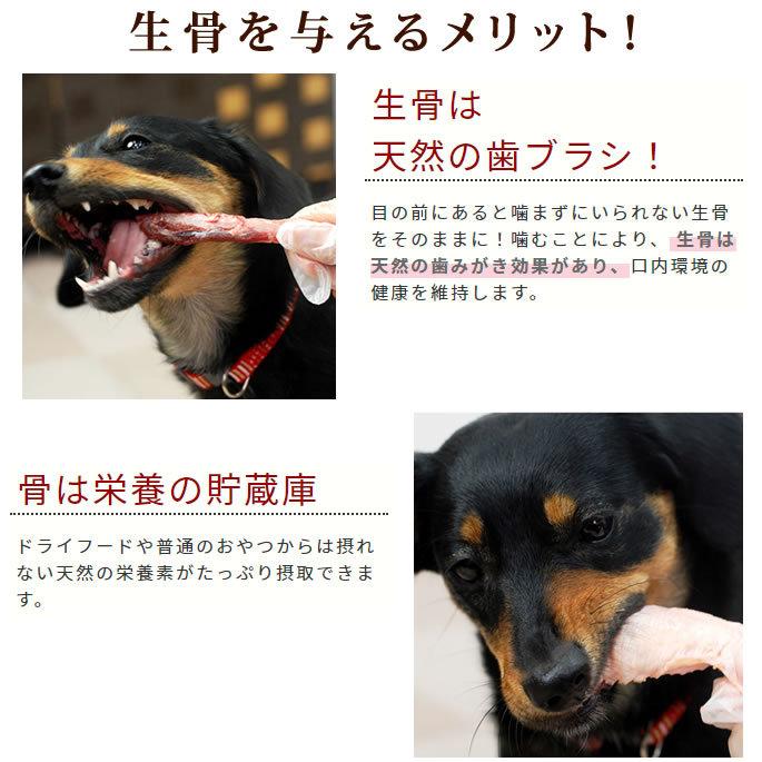 犬用 人気生骨3種セット [簡単手作り食] 犬 手作りフード 生食 | 帝塚山ハウンドカム | 02