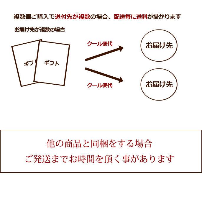 爆買 愛犬用ギフトセット 生肉・お惣菜4種セット プレゼント 贈り物 | 帝塚山ハウンドカム | 08