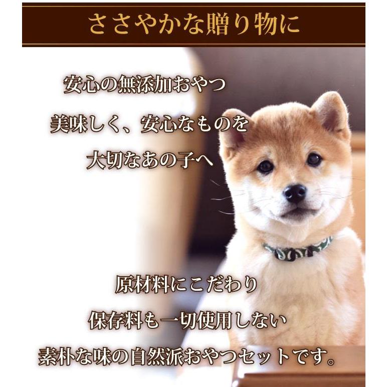 爆買 犬用ギフトセットA　愛犬にやさしい無添加おやつセット　4種セット (無添加ボーロ 60g→50gに順次切り替え)　らてぷちのおまけ付き |  | 01