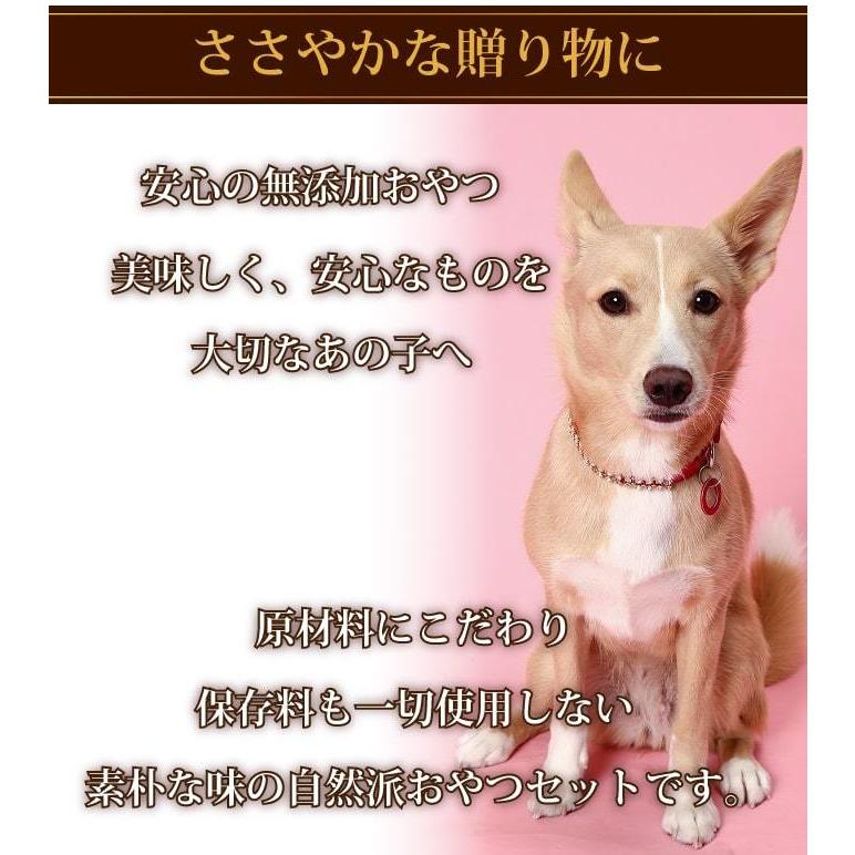 爆買 ペットケアマットNEO　Mサイズ 一般用　爽快潔リビング |  | 01