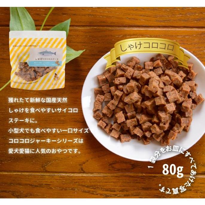 爆買 ペットケアマットNEO　Mサイズ 一般用　爽快潔リビング |  | 04