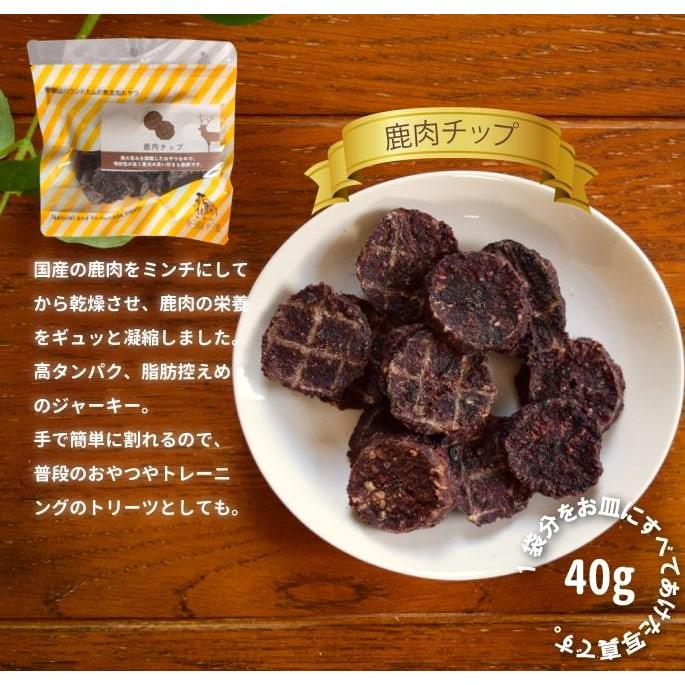 爆買 ペットケアマットNEO　Mサイズ 一般用　爽快潔リビング |  | 05