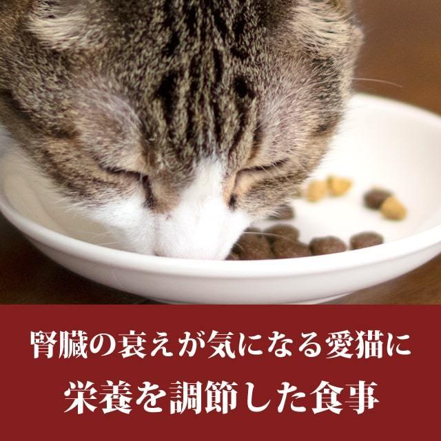 ハッピーキャット療法食 ダイエットニーレ 腎臓ケア 300g キャットフード 猫用 慢性腎不全 ドライフード Hac0002 犬手作りごはん帝塚山ハウンドカム 通販 Yahoo ショッピング